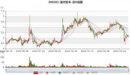 温州宏丰：2024年亏损7367.39万元
