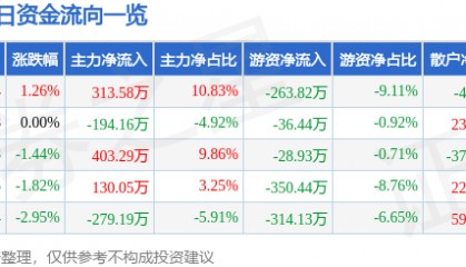 股票行情快报：银星能源（000862）1月7日主力资金净买入313.58万元