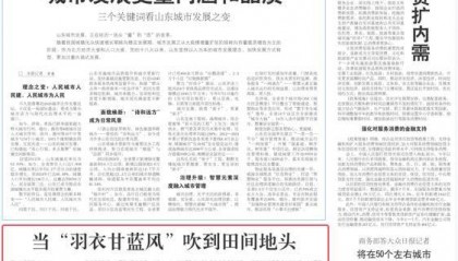 人民日报大众日报共同关注：当“羽衣甘蓝风”吹到田间地头