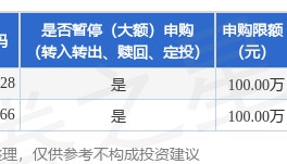 公告速递：大成高鑫股票基金暂停大额申购及转换转入业务