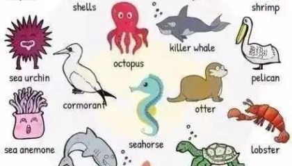 英语动物类词汇大全，干货必收藏！