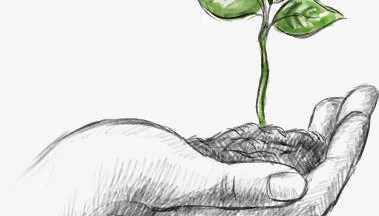 别折腾了，这才是当下最稳的赚钱方法