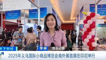 2025年义乌国际小商品博览会印尼首展，外国采购商热情高涨