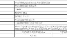 华安消费机遇股票型发起式证券投资基金 基金合同生效公告
