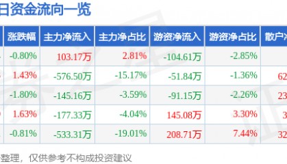 股票行情快报：银星能源（000862）2月27日主力资金净买入103.17万元