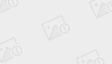 凤凰全球(凤凰全球下载)