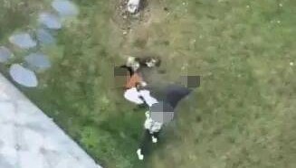 唐某（男，36岁）殴打小区遛狗女子，已立案！