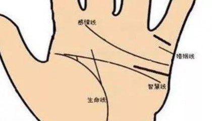 武易萱：通过手相教你找到最适合自己赚钱的方法