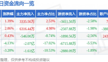 股票行情快报：华银电力（600744）8月19日主力资金净买入3335.56万元