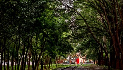 BMEX(贲门恶性肿瘤)