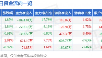 股票行情快报：凯美特气（002549）3月13日主力资金净卖出1074.81万元