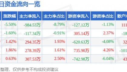 股票行情快报：金龙机电（300032）2月28日主力资金净卖出984.53万元