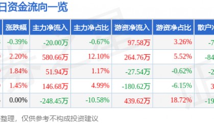 股票行情快报：银星能源（000862）2月11日主力资金净卖出20.00万元