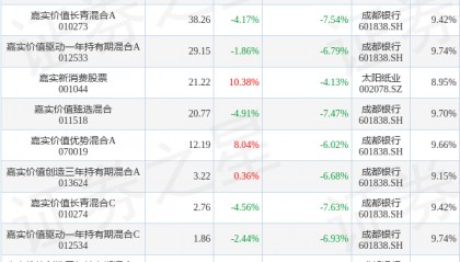 谭丽2024年四季度表现，嘉实新消费股票基金季度跌幅4.13%