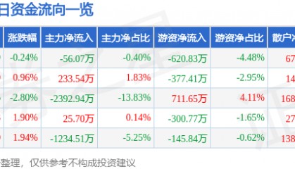 股票行情快报：海马汽车（000572）2月13日主力资金净卖出56.07万元