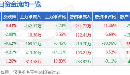 股票行情快报：银星能源（000862）1月13日主力资金净卖出162.37万元