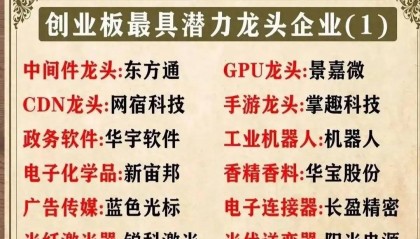 创业板最具潜力龙头股一览表，仅供参考！