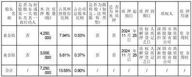 股票代码：002138 股票简称：顺络电子 编号：2024-103