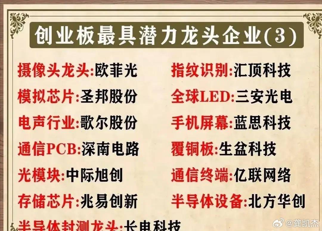 创业板最具潜力龙头股一览表，仅供参考！