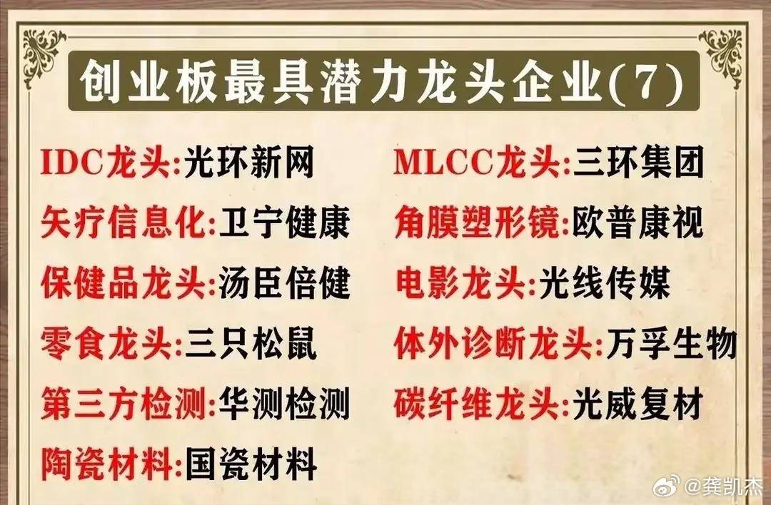 创业板最具潜力龙头股一览表，仅供参考！