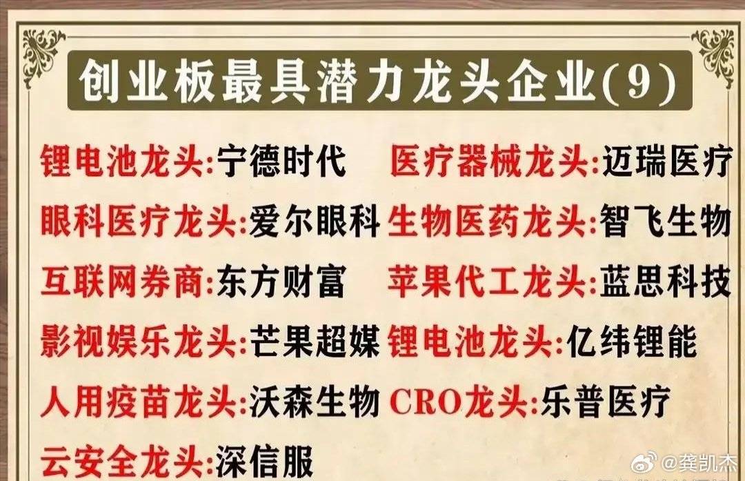 创业板最具潜力龙头股一览表，仅供参考！