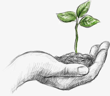 别折腾了，这才是当下最稳的赚钱方法