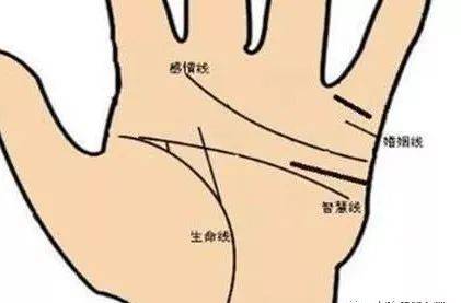 武易萱：通过手相教你找到最适合自己赚钱的方法