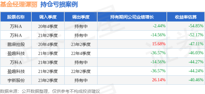 谭丽2024年四季度表现，嘉实新消费股票基金季度跌幅4.13%