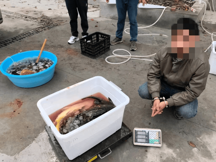 深夜出击！重庆江津警方破获綦河禁渔期非法捕捞案​