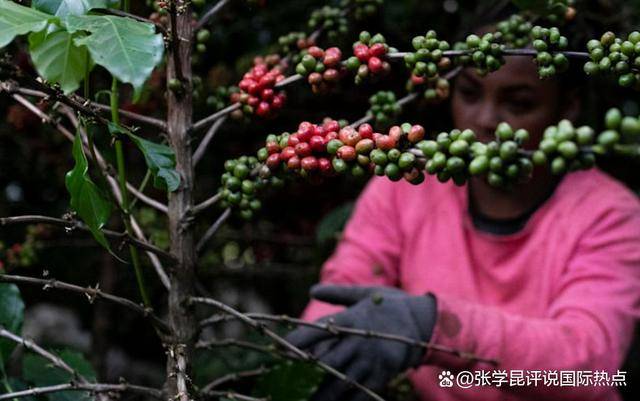 倒计时72小时，中国做了决定，卢拉最担心的事，5年都不用愁了
