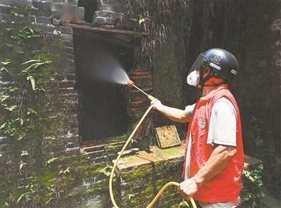 接触患者物品就会感染、康复了也会疼一辈子…… 这些有关基孔肯雅热的传言可信吗