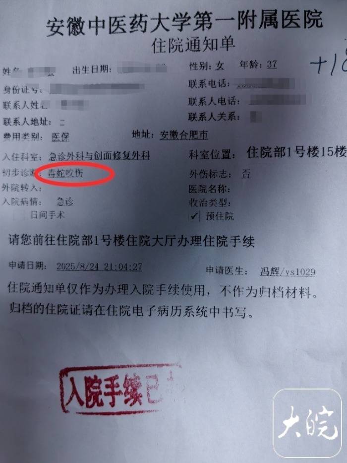 合肥一市民夜爬大蜀山被毒蛇咬伤 公园管理处呼吁：尽量避免夜间登山