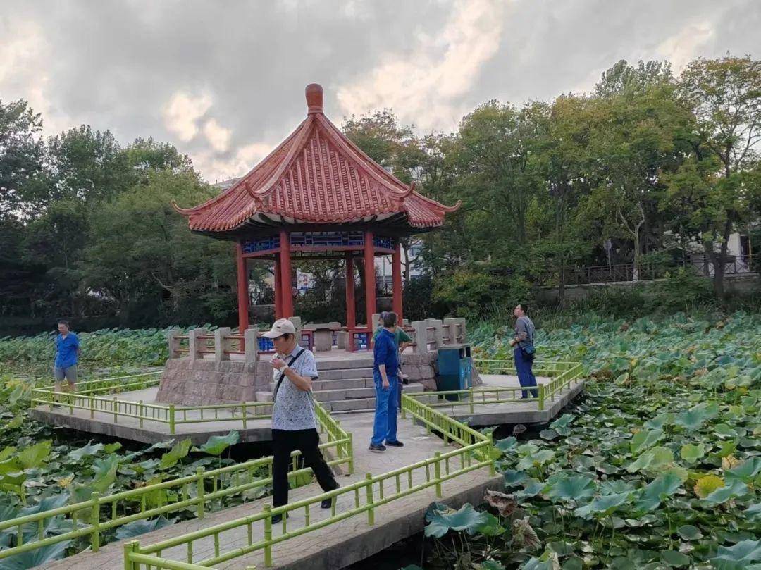 青岛中山公园一凉亭突然倒塌：一年前刚完成修缮，园方称无伤亡原因待查