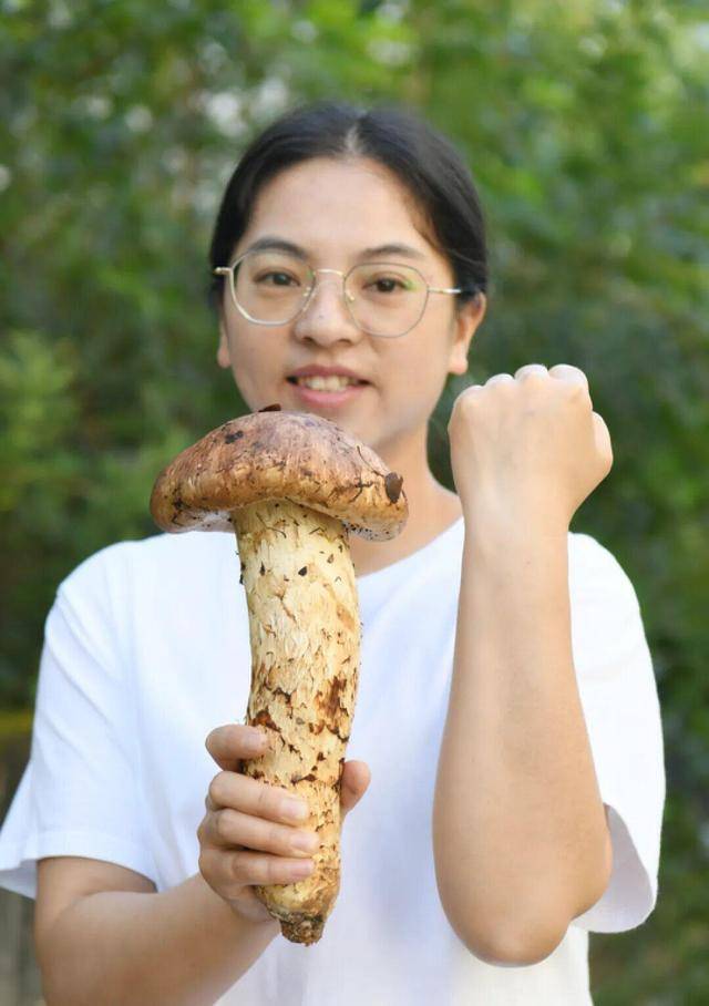 640克、长31厘米，丽江又现“松茸王”一朵卖了1600元