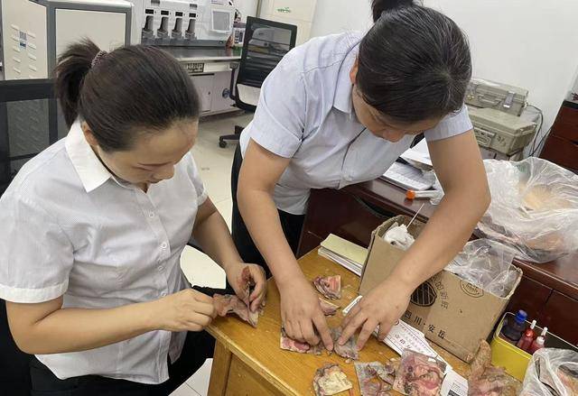 我为群众办实事｜残损币兑换彰显服务温度