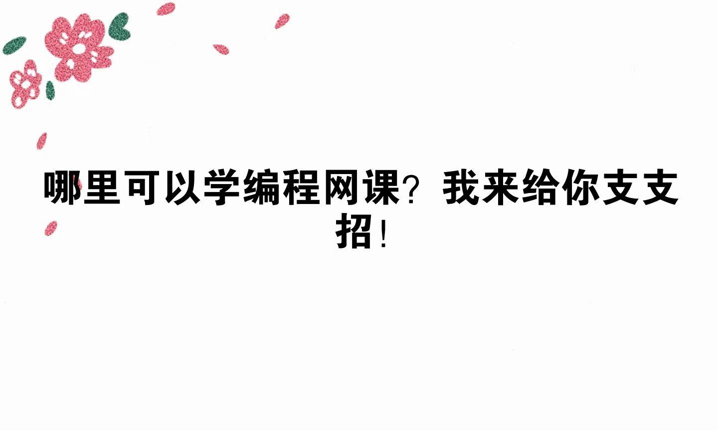 哪里可以学编程网课？我来给你支支招！