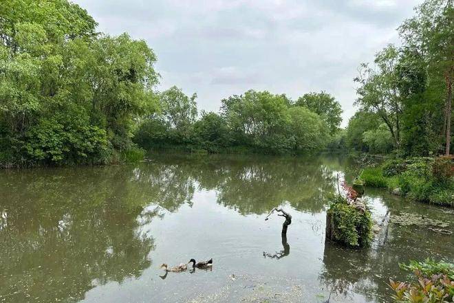 上海新江湾城鑫湾甲邸【新房热搜中】上海鑫湾甲邸楼盘价格，户型评价，最新网址