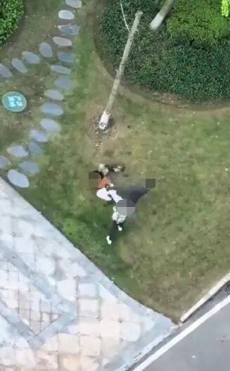 唐某（男，36岁）殴打小区遛狗女子，已立案！