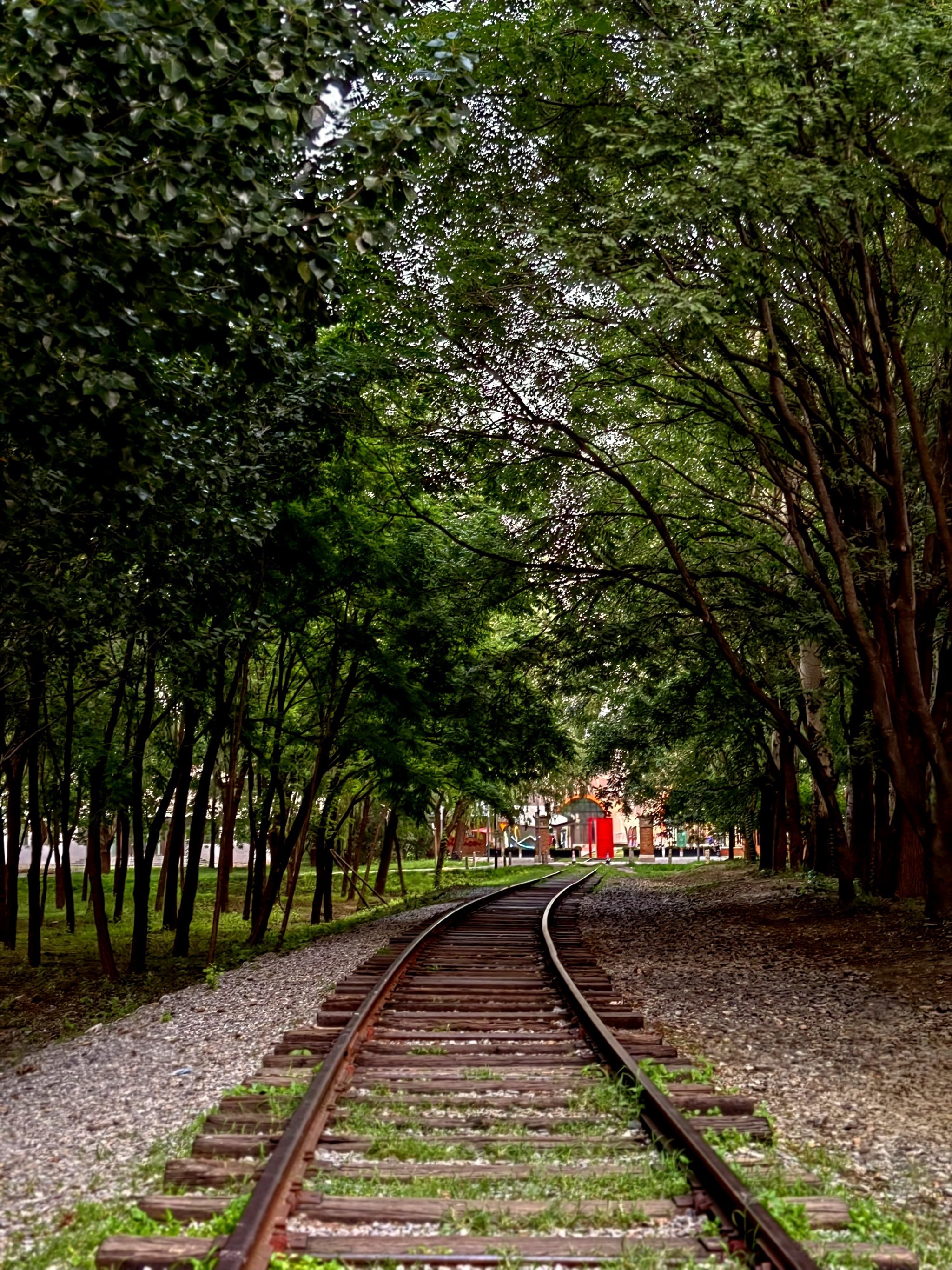 BMEX(贲门恶性肿瘤)