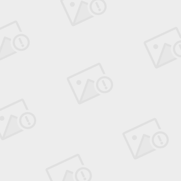 凤凰全球(凤凰全球下载) 凤凰全球(凤凰全球下载)